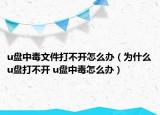 u盤中毒文件打不開怎么辦（為什么u盤打不開 u盤中毒怎么辦）