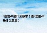c語言dt是什么意思（語c里的dt是什么意思）