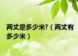 兩丈是多少米?（兩丈有多少米）
