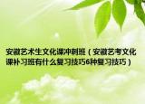 安徽藝術(shù)生文化課沖刺班（安徽藝考文化課補習(xí)班有什么復(fù)習(xí)技巧6種復(fù)習(xí)技巧）