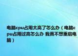 電腦cpu占用太高了怎么辦（電腦cpu占用過高怎么辦 我真不想重啟電腦）