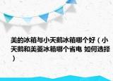 美的冰箱與小天鵝冰箱哪個(gè)好（小天鵝和美菱冰箱哪個(gè)省電 如何選擇）