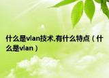 什么是vlan技術(shù),有什么特點（什么是vlan）