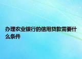 辦理農業(yè)銀行的信用貸款需要什么條件