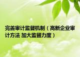 完善審計(jì)監(jiān)督機(jī)制（高新企業(yè)審計(jì)方法 加大監(jiān)督力度）