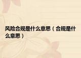 風險合規(guī)是什么意思（合規(guī)是什么意思）