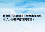 腋窩出汗怎么解決（腋窩出汗怎么辦 六大妙招教你遠(yuǎn)離尷尬）