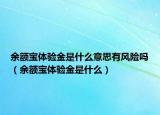 余額寶體驗金是什么意思有風險嗎（余額寶體驗金是什么）