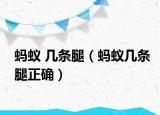 螞蟻 幾條腿（螞蟻幾條腿正確）