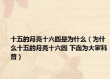 十五的月亮十六圓是為什么（為什么十五的月亮十六圓 下面為大家科普）