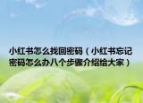 小紅書怎么找回密碼（小紅書忘記密碼怎么辦八個步驟介紹給大家）