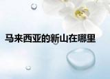 馬來西亞的新山在哪里
