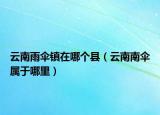 云南雨傘鎮(zhèn)在哪個縣（云南南傘屬于哪里）