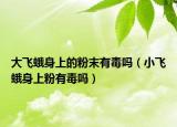 大飛蛾身上的粉末有毒嗎（小飛蛾身上粉有毒嗎）