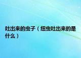 吐出來的蟲子（紐蟲吐出來的是什么）