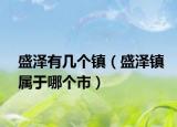 盛澤有幾個鎮(zhèn)（盛澤鎮(zhèn)屬于哪個市）