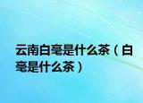 云南白毫是什么茶（白毫是什么茶）