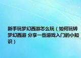 新手玩夢幻西游怎么玩（如何玩轉(zhuǎn)夢幻西游 分享一些游戲入門的小知識）
