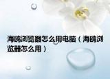 海鷗瀏覽器怎么用電腦（海鷗瀏覽器怎么用）