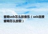 音響usb怎么放音樂（usb連接音響怎么放歌）