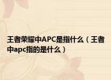 王者榮耀中APC是指什么（王者中apc指的是什么）