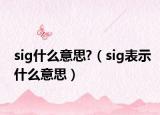 sig什么意思?（sig表示什么意思）