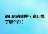 道口市在哪里（道口屬于哪個(gè)市）