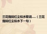 蘭花指捻紅塵似水歌詞.....（蘭花指捻紅塵似水下一句）