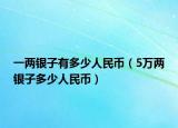 一兩銀子有多少人民幣（5萬兩銀子多少人民幣）