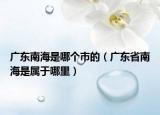 廣東南海是哪個(gè)市的（廣東省南海是屬于哪里）