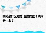 賤內(nèi)是什么意思 百度網(wǎng)盤（賤內(nèi)是什么）