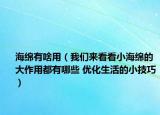 海綿有啥用（我們來看看小海綿的大作用都有哪些 優(yōu)化生活的小技巧）