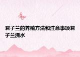 君子蘭的養(yǎng)殖方法和注意事項(xiàng)君子蘭澆水