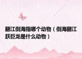 翻江倒海指哪個動物（倒海翻江躍巨龍是什么動物）