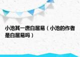 小池其一唐白居易（小池的作者是白居易嗎）