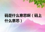 碼是什么意思?。ùa上什么意思）