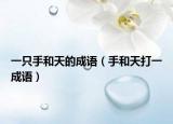 一只手和天的成語（手和天打一成語）