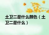 土衛(wèi)二是什么顏色（土衛(wèi)二是什么）