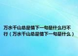 萬水千山總是情下一句是什么行不行（萬水千山總是情下一句是什么）