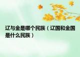 遼與金是哪個(gè)民族（遼國和金國是什么民族）
