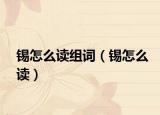 錫怎么讀組詞（錫怎么讀）