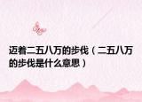 邁著二五八萬的步伐（二五八萬的步伐是什么意思）