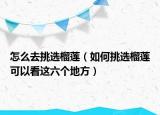 怎么去挑選榴蓮（如何挑選榴蓮可以看這六個(gè)地方）