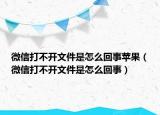 微信打不開文件是怎么回事蘋果（微信打不開文件是怎么回事）