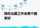 現(xiàn)在出國(guó)工作去哪個(gè)國(guó)家好