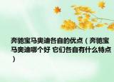奔馳寶馬奧迪各自的優(yōu)點(diǎn)（奔馳寶馬奧迪哪個(gè)好 它們各自有什么特點(diǎn)）