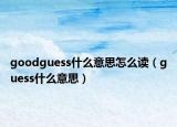 goodguess什么意思怎么讀（guess什么意思）