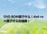 DVD ROM屬于什么（dvd-rom屬于什么存儲(chǔ)器）