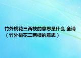 竹外桃花三兩枝的意思是什么 全詩（竹外桃花三兩枝的意思）