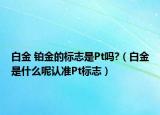 白金 鉑金的標志是Pt嗎?（白金是什么呢認準Pt標志）